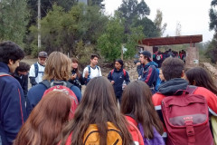 Fotos_febrero_junio_2017_263__Copiar_-4287