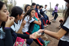 Fotos_febrero_junio_2017_274__Copiar_-4291